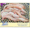 frozen pink shrimp IQF (Solenocera Meantho)